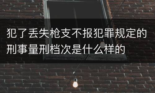 犯了丢失枪支不报犯罪规定的刑事量刑档次是什么样的