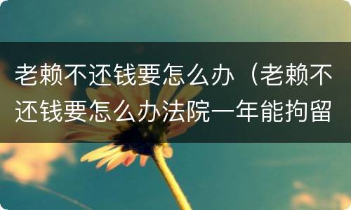 老赖不还钱要怎么办（老赖不还钱要怎么办法院一年能拘留几回）