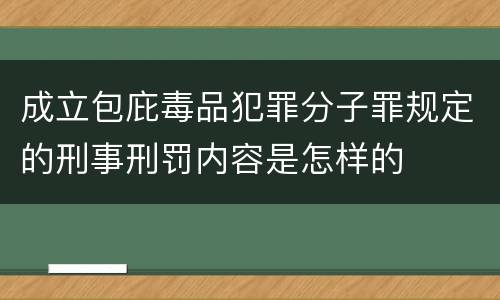 成立包庇毒品犯罪分子罪规定的刑事刑罚内容是怎样的