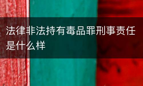 法律非法持有毒品罪刑事责任是什么样