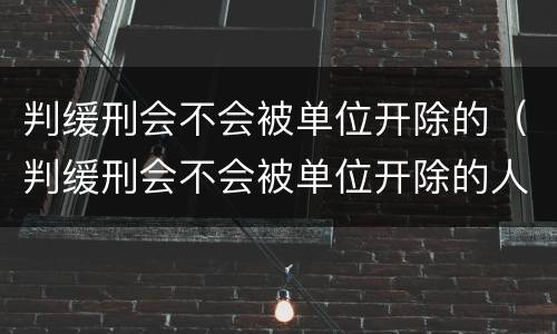 判缓刑会不会被单位开除的（判缓刑会不会被单位开除的人）