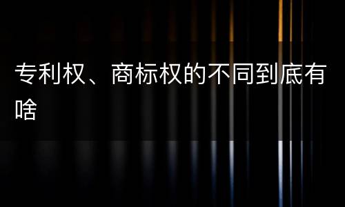 专利权、商标权的不同到底有啥