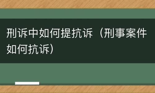 刑诉中如何提抗诉（刑事案件如何抗诉）