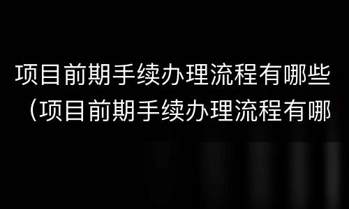 项目前期手续办理流程有哪些（项目前期手续办理流程有哪些内容）