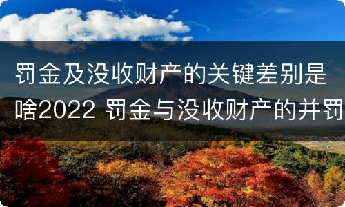 罚金及没收财产的关键差别是啥2022 罚金与没收财产的并罚