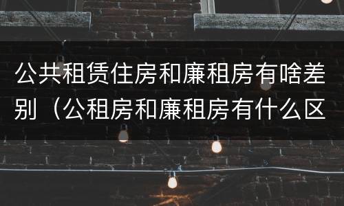 公共租赁住房和廉租房有啥差别（公租房和廉租房有什么区）