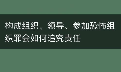 构成组织、领导、参加恐怖组织罪会如何追究责任