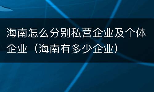 海南怎么分别私营企业及个体企业（海南有多少企业）