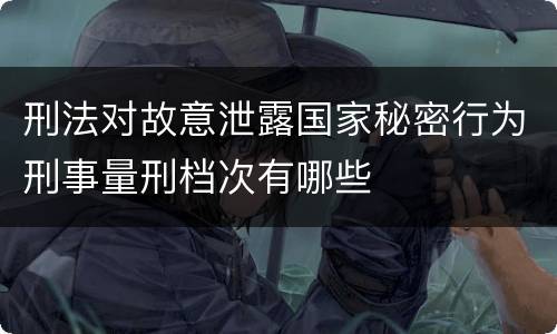 刑法对故意泄露国家秘密行为刑事量刑档次有哪些