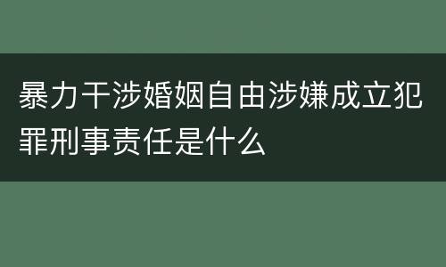 暴力干涉婚姻自由涉嫌成立犯罪刑事责任是什么