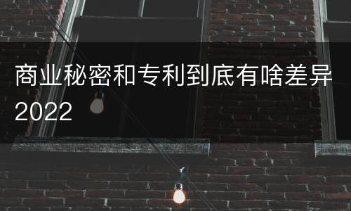 商业秘密和专利到底有啥差异2022