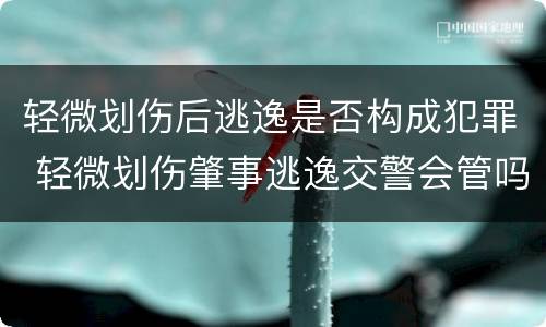 轻微划伤后逃逸是否构成犯罪 轻微划伤肇事逃逸交警会管吗