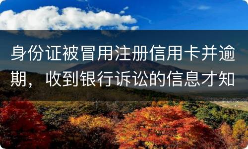 身份证被冒用注册信用卡并逾期，收到银行诉讼的信息才知晓