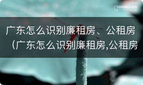 广东怎么识别廉租房、公租房（广东怎么识别廉租房,公租房名单）