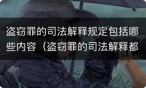 盗窃罪的司法解释规定包括哪些内容（盗窃罪的司法解释都有哪些）