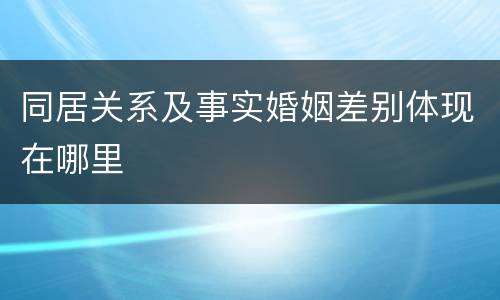 同居关系及事实婚姻差别体现在哪里