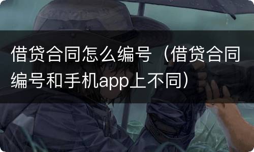 借贷合同怎么编号（借贷合同编号和手机app上不同）