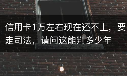 信用卡1万左右现在还不上，要走司法，请问这能判多少年