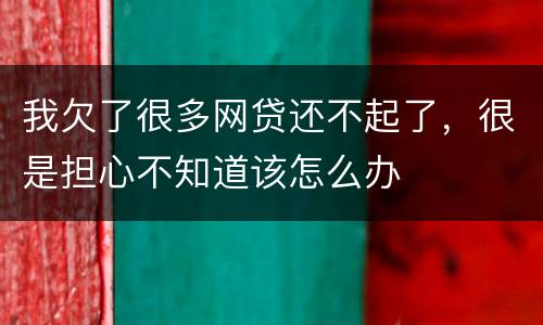 我欠了很多网贷还不起了，很是担心不知道该怎么办