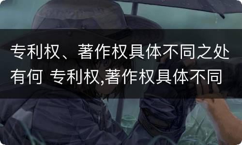 专利权、著作权具体不同之处有何 专利权,著作权具体不同之处有何意义