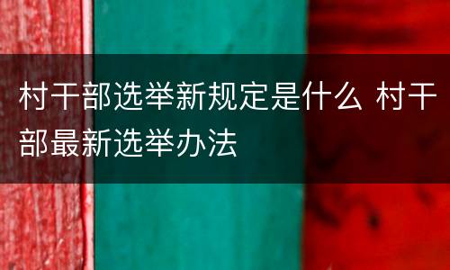 村干部选举新规定是什么 村干部最新选举办法