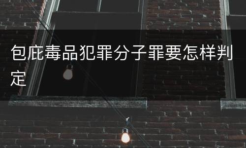 包庇毒品犯罪分子罪要怎样判定