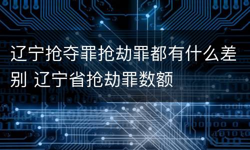 辽宁抢夺罪抢劫罪都有什么差别 辽宁省抢劫罪数额