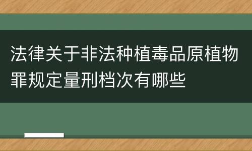 法律关于非法种植毒品原植物罪规定量刑档次有哪些