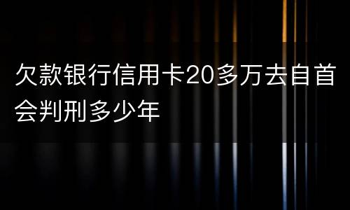 欠款银行信用卡20多万去自首会判刑多少年