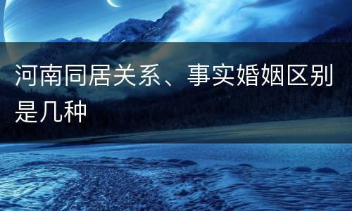 河南同居关系、事实婚姻区别是几种