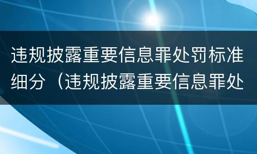 违规披露重要信息罪处罚标准细分（违规披露重要信息罪处罚标准细分依据）