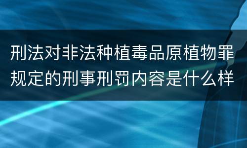 刑法对非法种植毒品原植物罪规定的刑事刑罚内容是什么样的