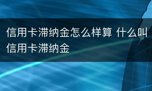 信用卡滞纳金怎么样算 什么叫信用卡滞纳金