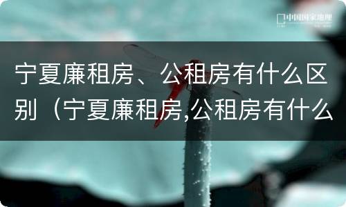 宁夏廉租房、公租房有什么区别（宁夏廉租房,公租房有什么区别吗）