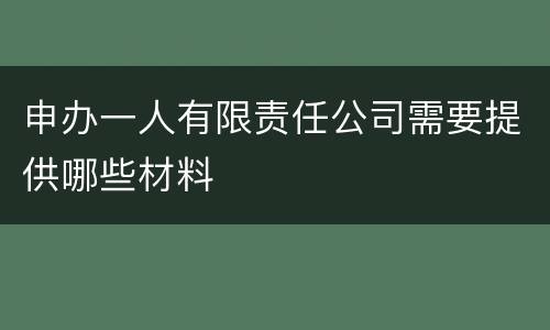 申办一人有限责任公司需要提供哪些材料