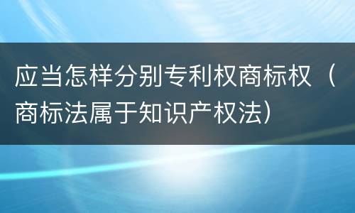 应当怎样分别专利权商标权（商标法属于知识产权法）