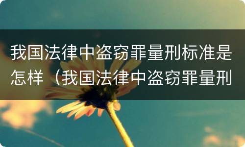 我国法律中盗窃罪量刑标准是怎样（我国法律中盗窃罪量刑标准是怎样的）