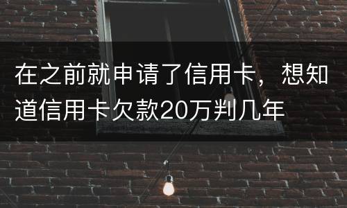 在之前就申请了信用卡，想知道信用卡欠款20万判几年