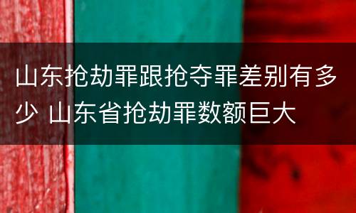 山东抢劫罪跟抢夺罪差别有多少 山东省抢劫罪数额巨大