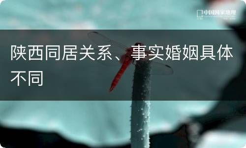 陕西同居关系、事实婚姻具体不同