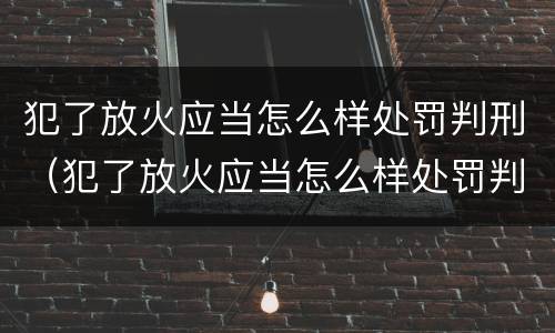 犯了放火应当怎么样处罚判刑（犯了放火应当怎么样处罚判刑多久）