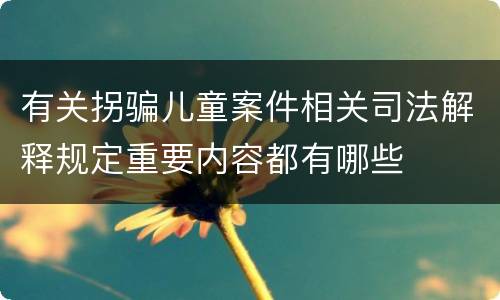 有关拐骗儿童案件相关司法解释规定重要内容都有哪些