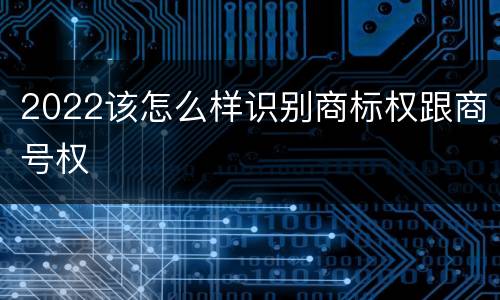 2022该怎么样识别商标权跟商号权