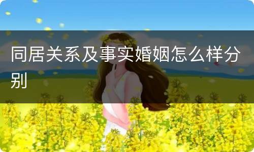 同居关系及事实婚姻怎么样分别