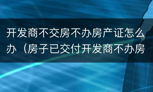 开发商不交房不办房产证怎么办（房子已交付开发商不办房产证）