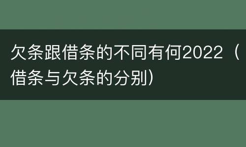 欠条跟借条的不同有何2022（借条与欠条的分别）