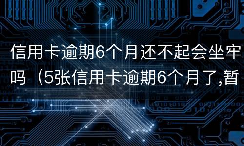 信用卡逾期6个月还不起会坐牢吗（5张信用卡逾期6个月了,暂时没能力还）