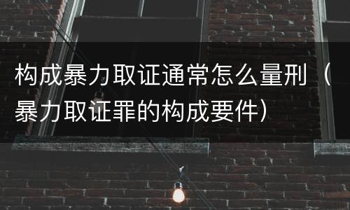 构成暴力取证通常怎么量刑（暴力取证罪的构成要件）