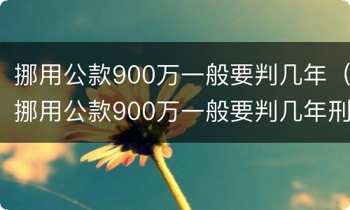 挪用公款900万一般要判几年（挪用公款900万一般要判几年刑）