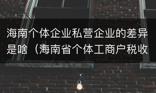 海南个体企业私营企业的差异是啥（海南省个体工商户税收政策）